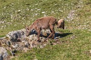 _MG_3071 (2)